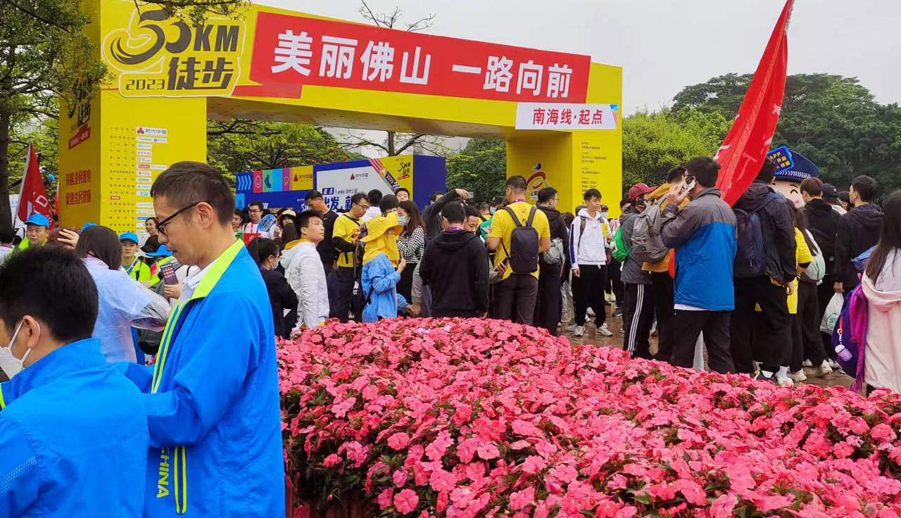 Participate in Urban Walking Exercise Activities