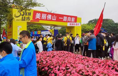 Participate in Urban Walking Exercise Activities